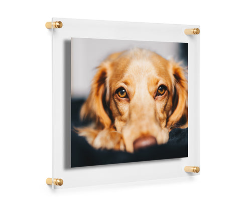 8x10 Modern Float Frame